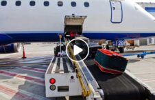 ویدیو/ هوشیاری پولیس در جلوگیری از ورود مواد انفجاری به میدان هوایی