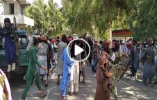 ویدیو تجمع زنان افغان ارگ طالبان 226x145 - ویدیو/ تجمع زنان شجاع افغان روبروی ارگ در مقابل طالبان
