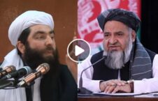 ویدیو/ وقتی وزیر حج و اوقاف، مولوی انصاری را لعنت می کند!
