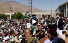 ویدیو وزیر دفاع طالبان پنجشیر 226x145 - ویدیو/ توهین وزیر دفاع طالبان به مردم پنجشیر