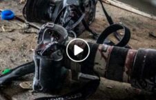 ویدیو شکنجه خبرنگاران طالبان 226x145 - ویدیو/ شکنجه خبرنگاران توسط طالبان