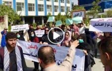 ویدیو عدالت خواهی خیابان کابل 226x145 - ویدیو/ صدای عدالت خواهی مردم از خیابان های کابل