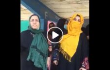ویدیو/ درخواست کارمندان وزارت امور زنان از طالبان