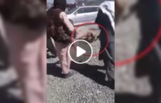 ویدیو/ مرگ دردناک یک جوان پنجشیری به دست طالبان