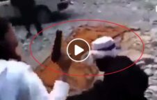 ویدیو تفریحات عجیب طالبان 226x145 - ویدیو/ تفریحات عجیب طالبان!