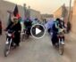 ویدیو/ راه اندازی پیکار مردان موترسایکل سوار برای بازگشایی مکاتب دختران