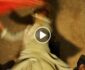 ویدیو/ رقص افراد طالبان در مساجد