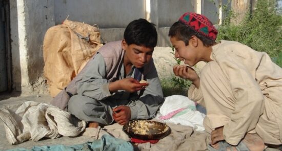 گزارش سازمان ملل در پیوند به وضعیت ناامنی غذایی در افغانستان