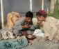 گزارش سازمان ملل در پیوند به وضعیت ناامنی غذایی در افغانستان