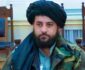 دیدار وزیر دفاع طالبان با شماری از افغان‌های مقیم امارات
