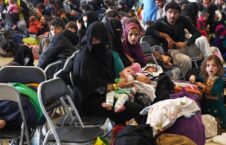 کمپ ابوظبی 226x145 - افزایش نگرانی ها از سرنوشت نامعلوم پناهجویان افغان در کمپ ابوظبی