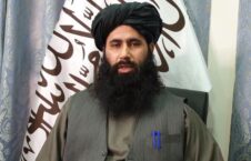 محمد نعیم 226x145 - موقف طالبان درباره به رسمیت شناختن حکومت اسراییل