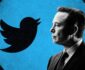 نظرسنجی ایلان ماسک برای کناره‌گیری از ریاست تویتر