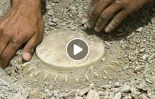 ویدیو وزیر تحصیلات طالبان خشم مردم 226x145 - ویدیو/ اظهارات عجیب وزیر تحصیلات طالبان خشم مردم را برانگیخت