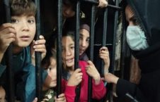 تازه ترین آمار از شمار پناهجویان افغان در زندان‌های پاکستان