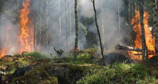آخرین خبرها از آتش‌سوزی در جنگلات کنر
