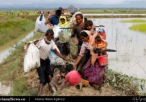 فرار مسلمانان روهینگیا از خشونت میانمار (11)