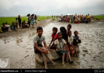 فرار مسلمانان روهینگیا از خشونت میانمار (12)