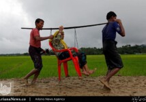 فرار مسلمانان روهینگیا از خشونت میانمار (22)