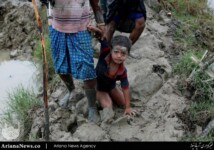 فرار مسلمانان روهینگیا از خشونت میانمار (23)