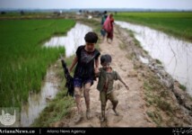 فرار مسلمانان روهینگیا از خشونت میانمار (25)