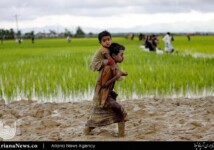 فرار مسلمانان روهینگیا از خشونت میانمار (7)