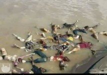 کشتار مسلمانان میانمار (7)