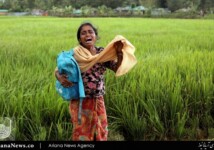 راهپیمایی مرگ مسلمانان میانمار (10)