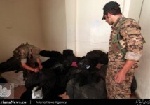 همه باقیمانده‌های داعش در رقه (18)