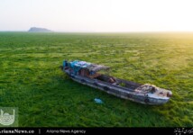 A boat is stranded on the grass covered bed of Poyang lake, which has been hit by drought. Once the largest freshwater lake in China, it might soon become a prairie or a desert