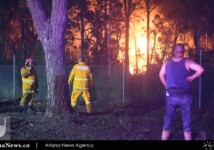 A local resident and firefighters watch flames close to homes in Wattle Grove, Sydney.