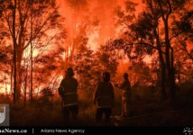 Firefighters fight a bushfire in south western Sydney.