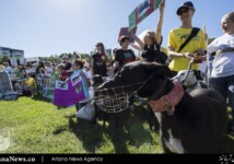 Hundreds of dog lovers protest over greyhound racing at Sydney Park on Saturday 14 April.