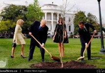 Trump and Macron shovel dirt on to a freshly planted oak sapling that Macron brought with him as a symbol of friendship.