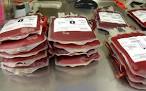 جمع آوری بیش از ۷۵۰ پاکت خون از مردم هرات در روز عاشورا