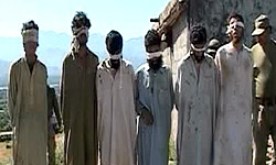 دستگیری طالبان - دستگیری چندین شورشی در ولایت غزنی