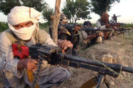 شورشی - کشته شدن 14 شورشی مسلح در ولایت پکتیکا