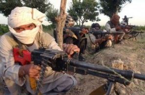 شورشی2 - کشته و زخمی شدن 40 شورشی مسلح در ولایت کندز