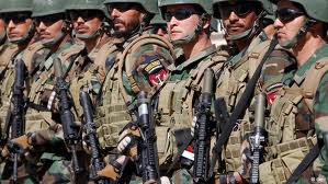 نیروهای افغان - نیروهای افغان توانایی تامین امنیت کشور را دارند