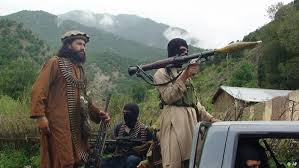 جنگجویان پاکستانی در صفوف داعش