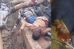 جزئیات کشتار شیعیان در نیجریا