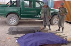 کشته شدن یک فرد ملکی از سوی افراد مسلح ناشناس در ولایت هرات