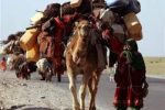 پاکستانی‌ها جایگزین کوچی‌های وردک